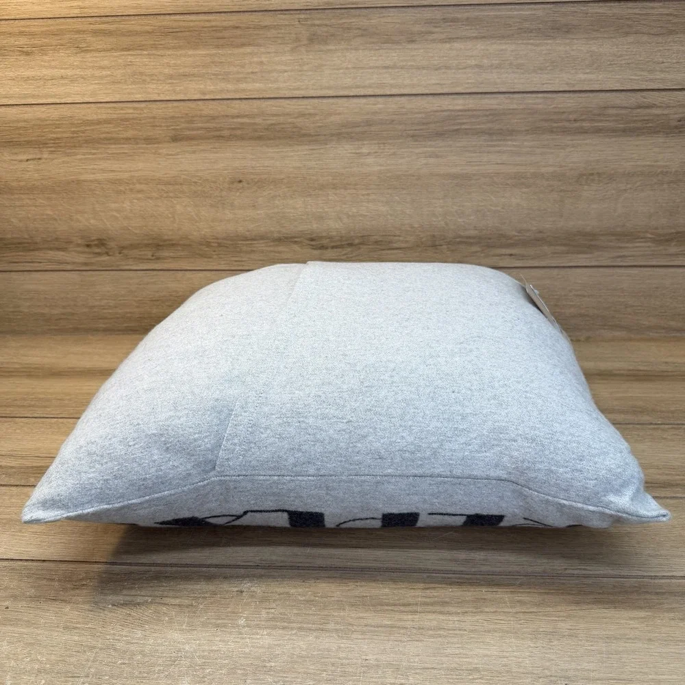David Fussenegger Gray Soft Pillow Alpine Chalet Eat Sleep Ski Repeat Winter New